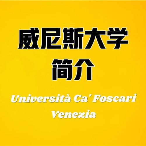 威尼斯大学gpa（威尼斯大学孔子学院）